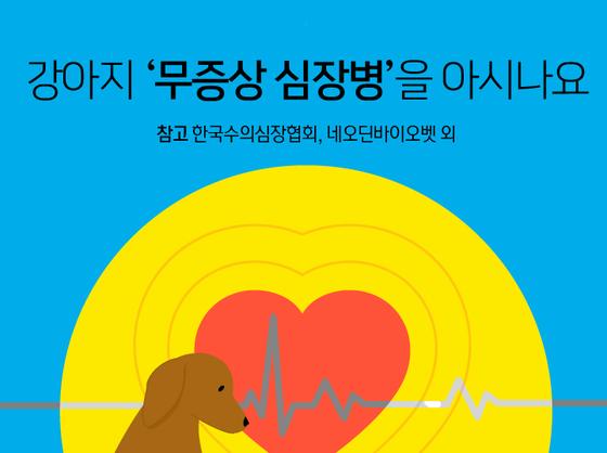 강아지도 걸리는 무증상 심장병…'이렇게' 관리하세요