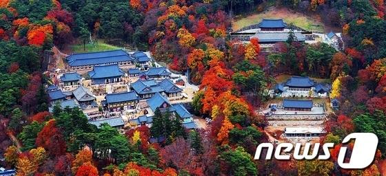 합천 해인사 전경ⓒ News1