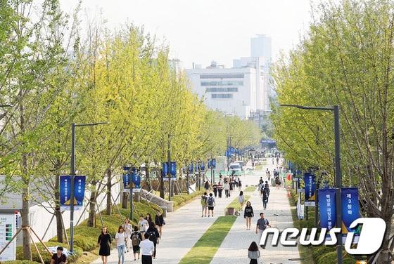 연세대 백양로 전경 &#40;연세대학교 제공&#41;/뉴스1 ⓒ News1