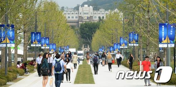 서울 서대문구 연세대학교 신촌캠퍼스에서 학생들이 백양로를 걷고 있다. /뉴스1 ⓒ News1 구윤성 기자