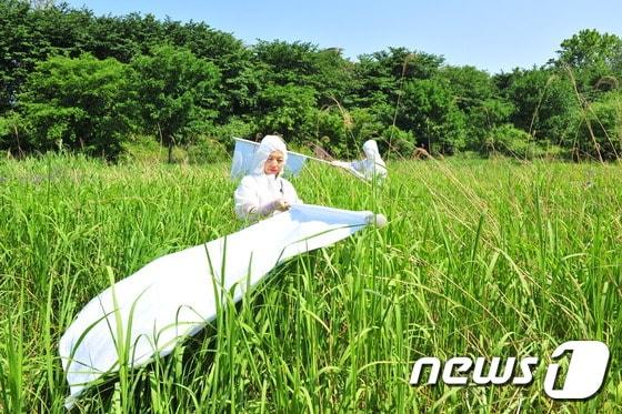 사진은 서울시와 보건환경연구원 관계자들이 양재천 산책로에서 작은소피참진드기를 채집하는 장면 &#40;서울시 제공&#41; /뉴스1 ⓒ News1 고유선 기자