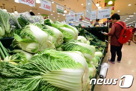 서울의 한 대형마트에서 시민들이 채소를 고르고 있다./뉴스1 ⓒ News1 민경석 기자