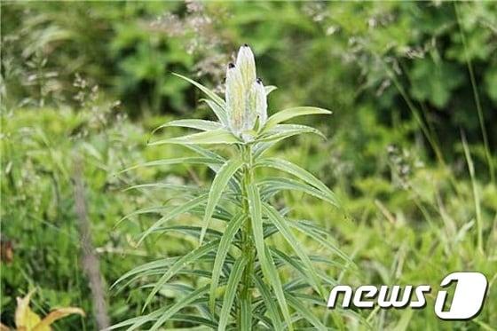 &#40;사진은 기사 내용과 무관함&#41; / 뉴스1 ⓒ News1