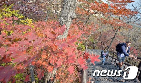 서울 북한산에서 외국인 등산객들이 단풍이 물들기 시작한 등산로를 걸으며 가을을 만끽하고 있다. ⓒ News1 김명섭 기자