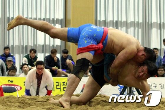 충북 괴산군이 내년부터 2026년까지 40억원을 들여 서부리에 씨름전용훈련장을 건립한다.&#40;자료사진&#41;/뉴스1