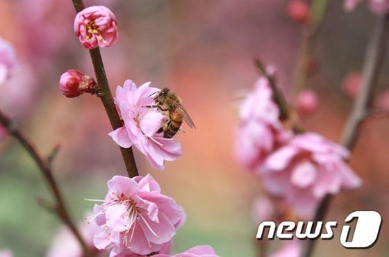 &#40;사진은 기사 내용과 무관함&#41; / 뉴스1 ⓒ News1