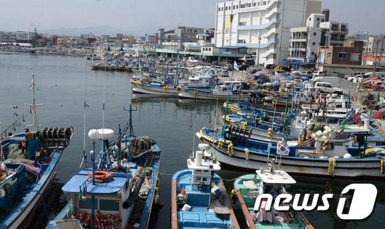 1일 북한이 송출한 것으로 추정되는 GPS&#40;위성 위치 정보 시스템&#41;방해 신호로 출항하지 못하거나 조기 입항한 어선들이 주문진 항구에 정박해 있다. ⓒ News1 엄용주 기자