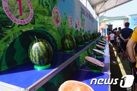 고창수박. ⓒ News1 박제철 기자