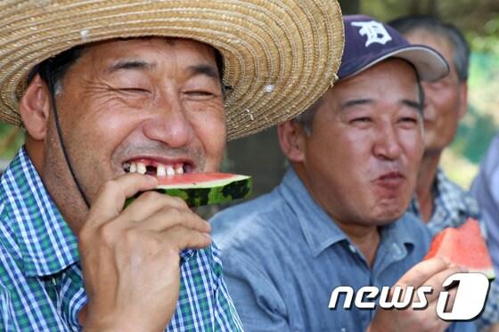 중복인 27일 경북 포항시 북구 청하면 서정리 마을 주민들이 마을 농원에서 수박을 나눠 먹으며 더위를 식히고 있다.2016.7.27/뉴스1 ⓒ News1 최창호 기자