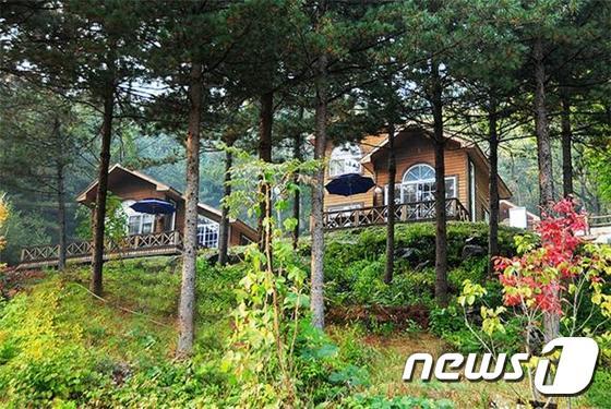 자연휴양림&#40;기사 내용과 무관&#41; ⓒ News1 진현권 기자