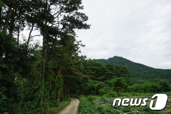 갈재길은 과거를 치르기 위해 한양을 오르내리는 선비들, 임지로 부임하거나 퇴임하는 방백수령들 또는 남부지방으로 유배를 떠나는 사람들이 넘었던 고갯길이다.&#40;뉴스1/DB&#41; ⓒ News1 