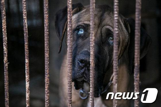 &#40;사진은 기사 내용과 무관함&#41; / 뉴스1 ⓒ News1