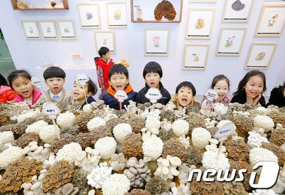 전북 전주 농촌진흥청 농업과학관에서 열린 &#39;진균류 자원 전시회&#39;에서 아이들이 전시된 버섯을 보고 있다. &#40;기사와 사진은 관계없음&#41; &#40;농총진흥청 제공&#41; 2017.3.20/뉴스1