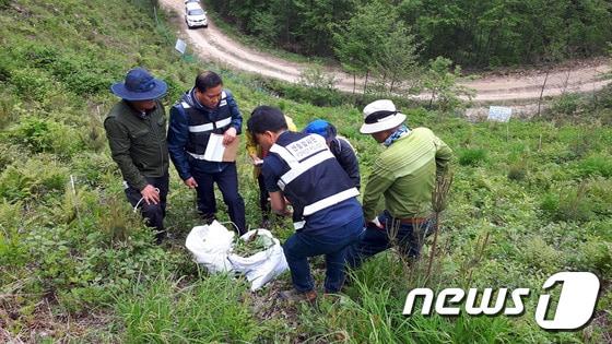 불법임산물채취 단속사진 ⓒ News1 박하림 기자