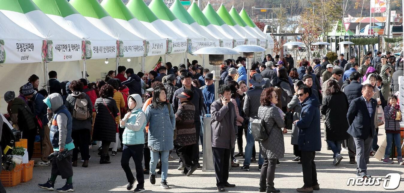 강원 양구군 해안면 펀치볼힐링하우스광장 일원에서 열린 ‘펀치볼시래기축제’.&#40;자료사진&#41;ⓒ News1 DB