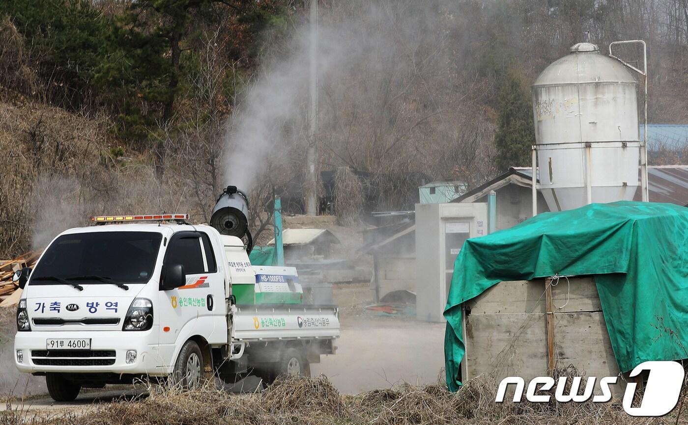 경기도 용인시 백암면 한 돼지농장 인근에서 용인축산농협 방역 관계자가 구제역 차단 방역을 하고 있다. 2018.3.29/뉴스1 ⓒ News1 오장환 기자