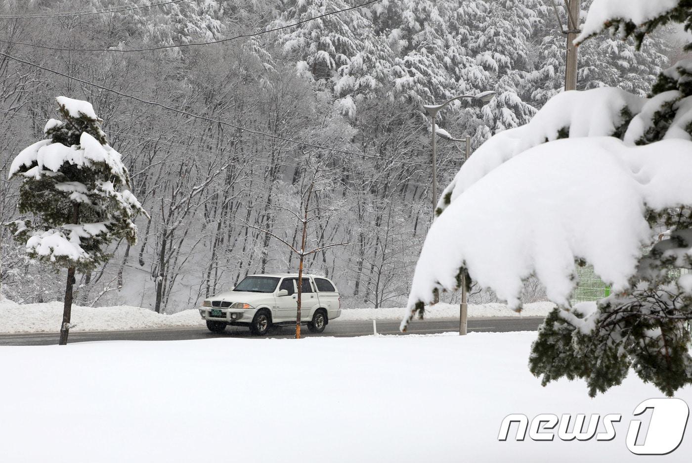 강원도 고성 미시령 폭설 자료사진.  ⓒ News1 