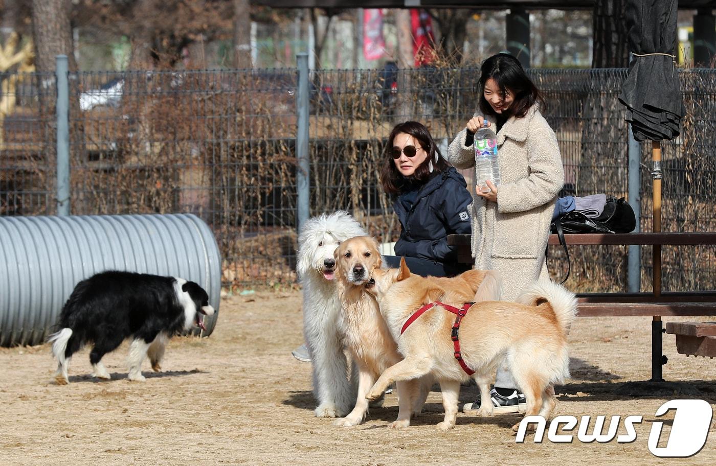 서울 마포구 월드컵공원에 마련된 반려견 놀이터를 찾은 시민과 반려견들이 즐거운 시간을 보내고 있다.  ⓒ News1 구윤성 기자