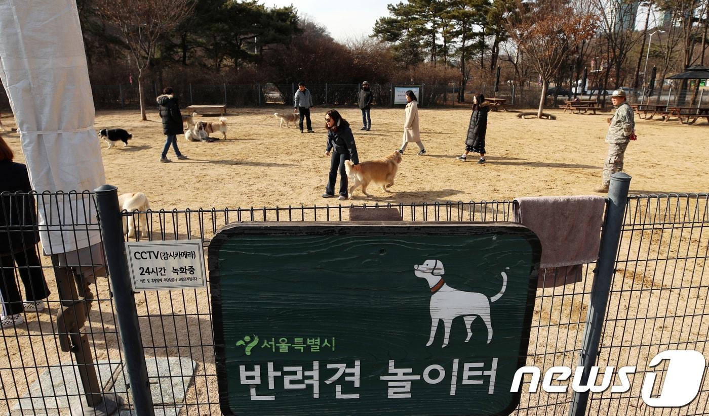 6일 오후 서울 마포구 월드컵공원에 마련된 반려견 놀이터에서 반려견들이 뛰어놀고 있다. 2018.3.6/뉴스1 ⓒ News1 구윤성 기자