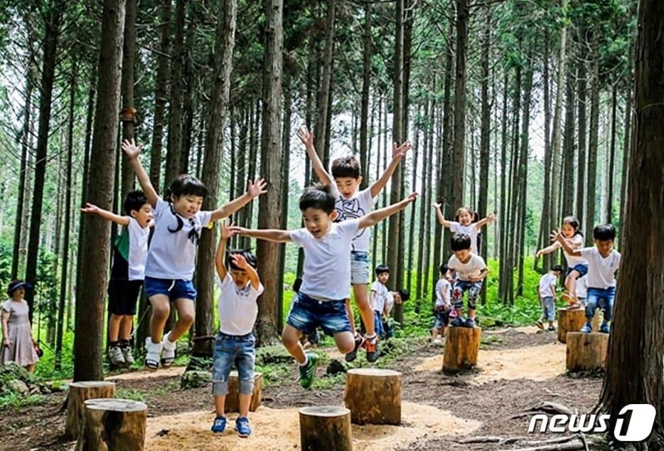 전남 장흥 정남진 편백숲 우드랜드 모습.&#40;장흥군 제공&#41;/뉴스1DB