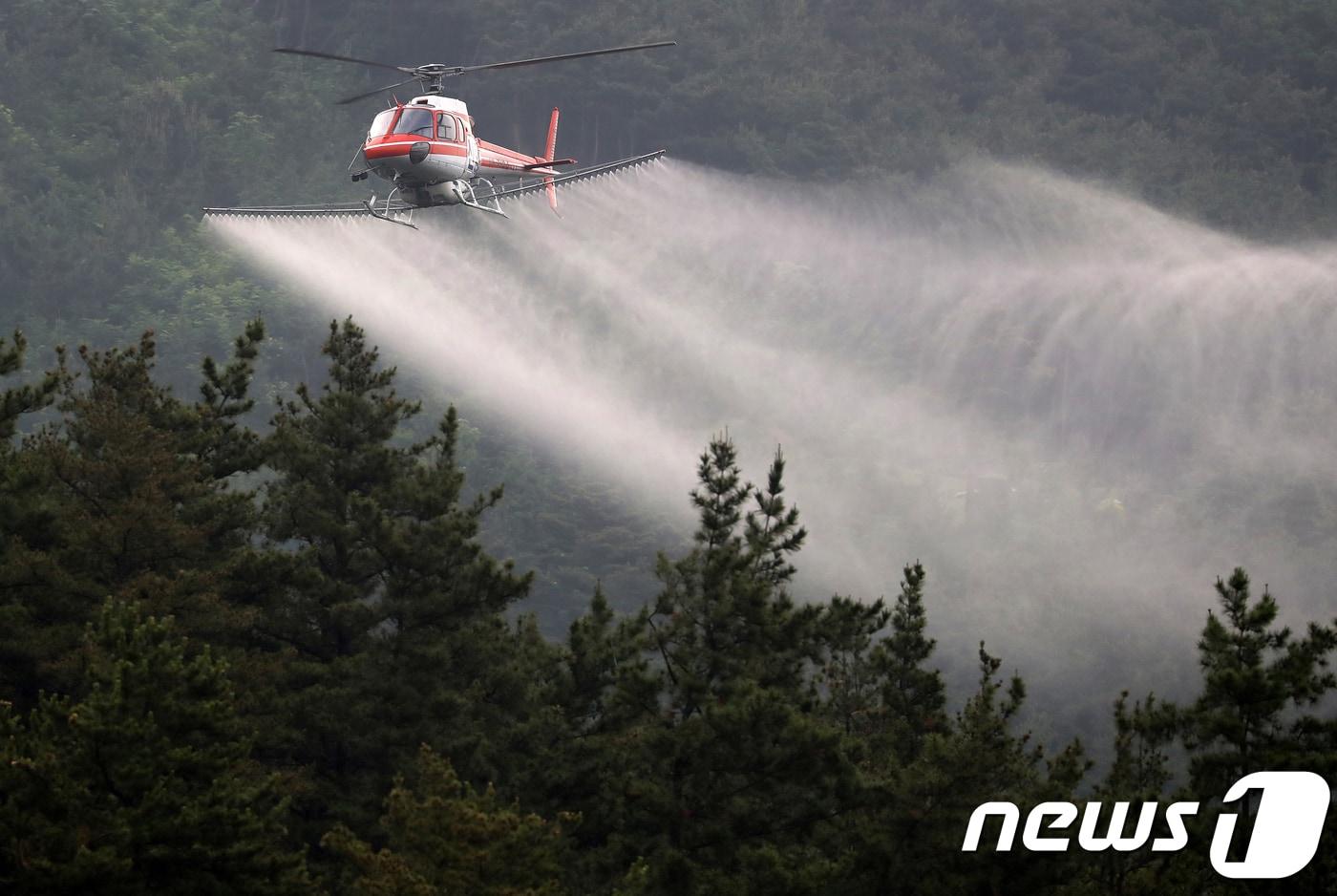 소나무재선충병 확산을 막기 위한 항공방제 장면 &#40;자료사진&#41;/뉴스1 ⓒ News1 