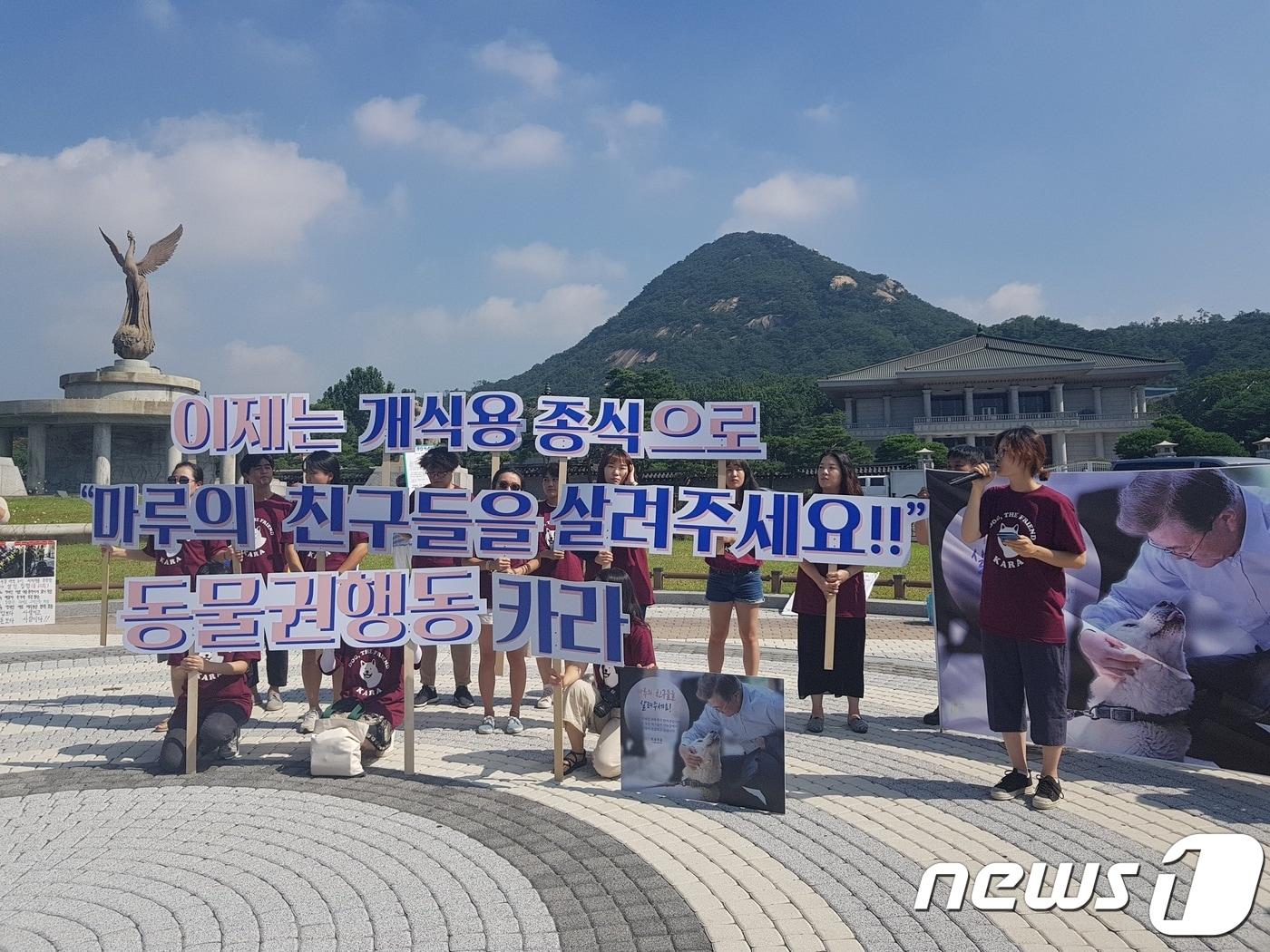 청와대 앞 분수대 광장에서 기자회견 중인 동물권행동 카라.ⓒ News1 김연수 기자