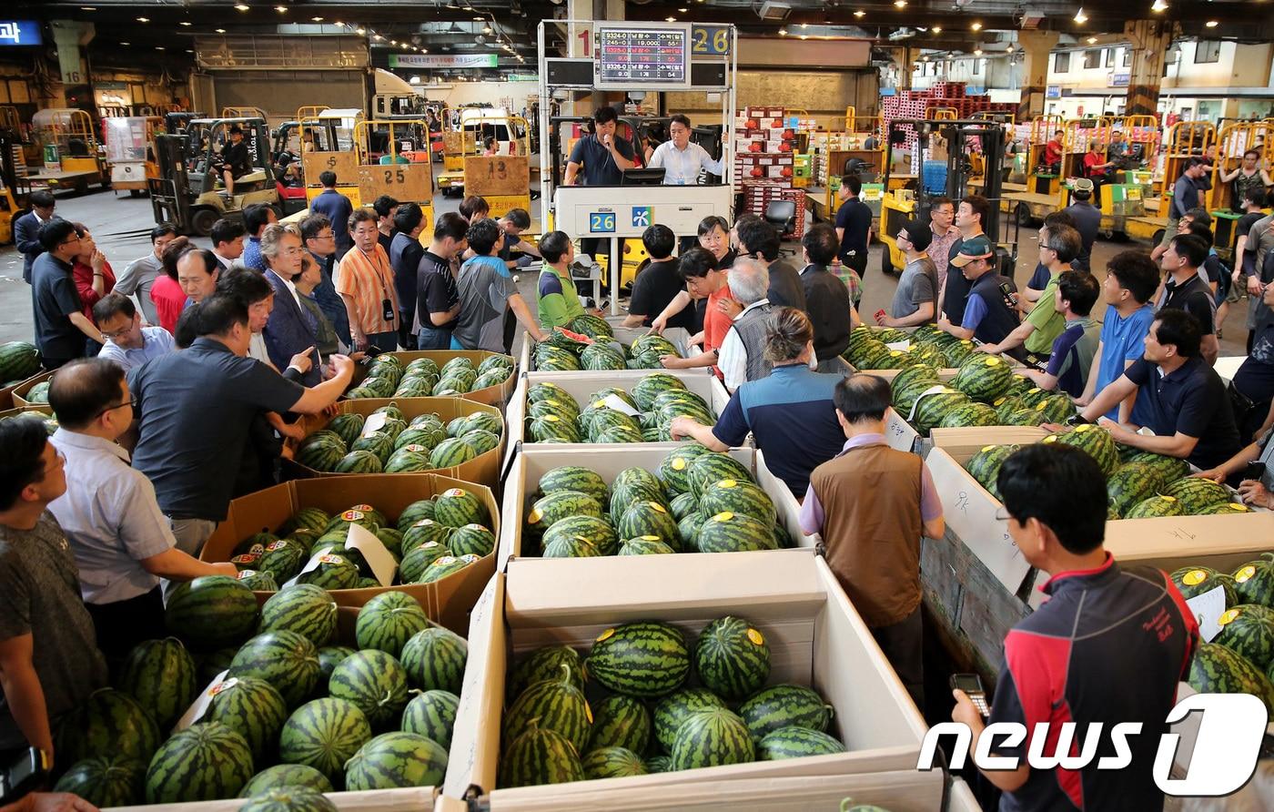 양구 수박.&#40;자료사진&#41;ⓒ News1 DB