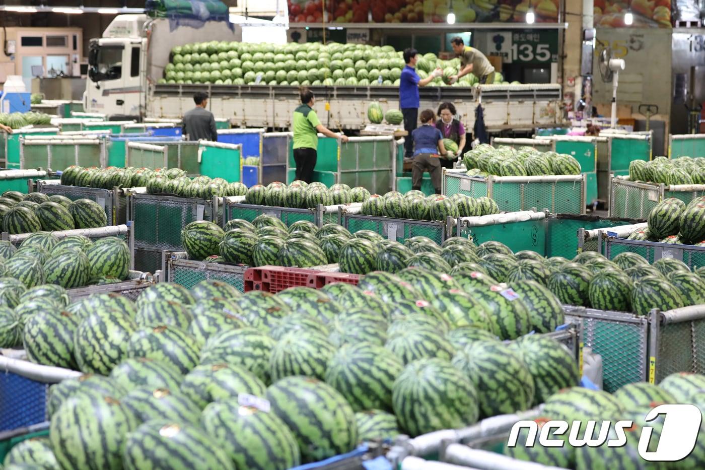 &#39;한강 이남 최대&#39; 규모인 대구 북구 농수산물도매시장&#40;매천시장&#41;의 달성군 하빈면 이전이 확정된 30일 새로운 입지인 달성군과 기존 입지 북구의 희비가 엇갈렸다. 사진은 2018년 7월 매천시장에서 상인들이 수박 경매를 준비하는 모습. 2018.7.26/뉴스1 ⓒ News1 자료 사진