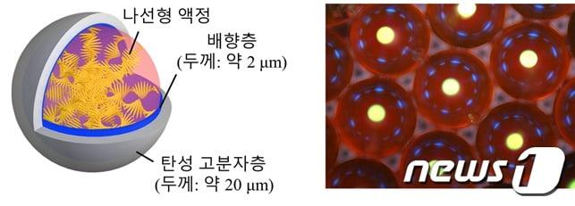 캡슐형 레이저 공진기의 구성&#40;왼쪽&#41;과 광학 현미경 사진&#40;KAIST 제공&#41;ⓒ News1