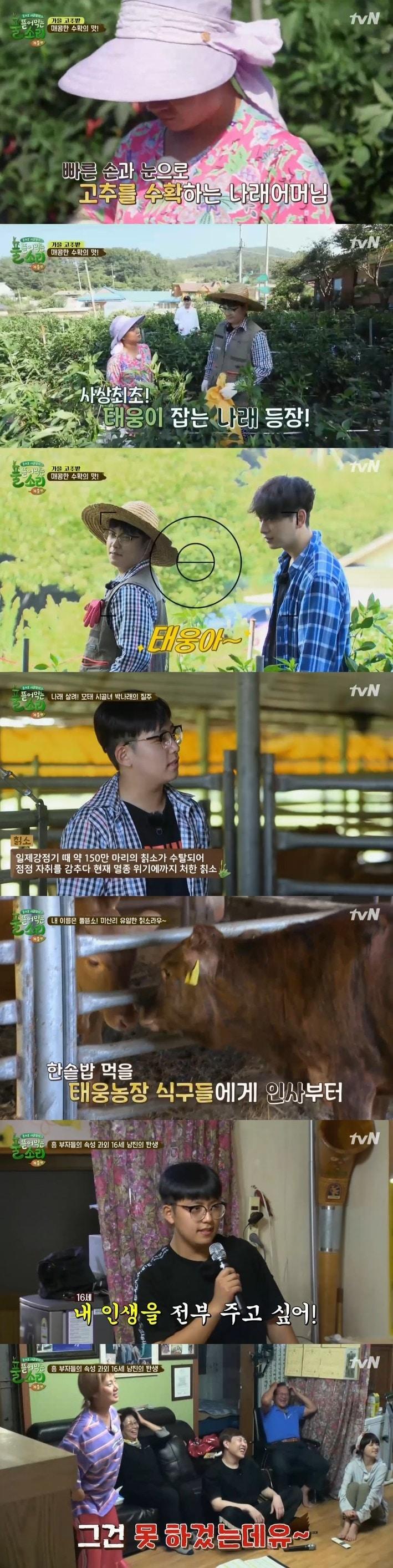 tvN 풀 뜯어 먹는 소리 ⓒ News1