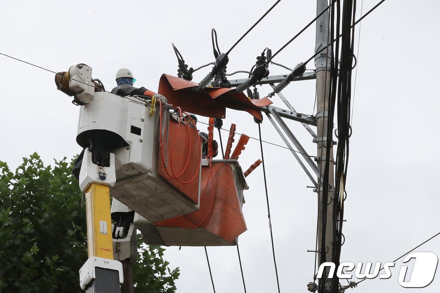 전선 복구 작업 자료사진/뉴스1