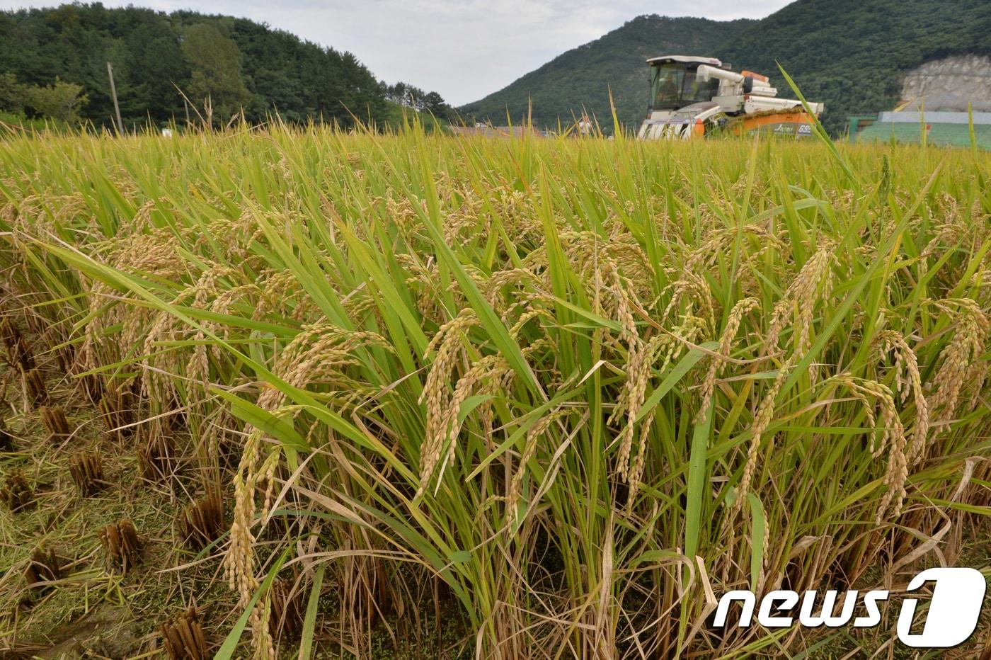 전북 정읍시는 2월1일부터 29일까지 비대면으로 기본형 공익직불금 접수를 받는다.&#40;뉴스1/DB&#41; ⓒ News1 