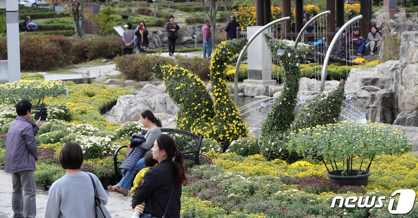 익산 천만송이 국화축제가 열리는 전북 익산시 중앙체육공원을 찾은 관광객들이 국화로 꾸며진 조형물과 공원을 수놓은 국화꽃 사이를 거닐며 가을의 정취를 만끽하고 있다. /뉴스1 ⓒ News1 유경석 기자