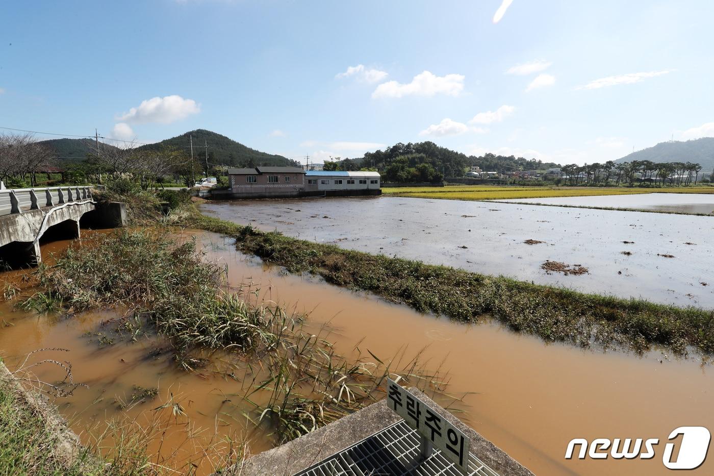 지난 2019년 전남 무안군 한 들녘이 태풍 &#39;미탁&#39; 폭우로 물에 잠긴 모습.  ⓒ News1 