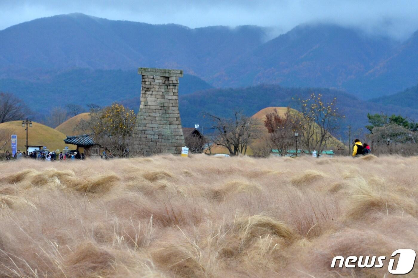 28일 오전 경북 경주시 동부사적지를 찾은 관광객들이 겨울비를 맞으며 첨성대 등을 둘러보고 있다. 2019.11.28/뉴스1 ⓒ News1 최창호 기자