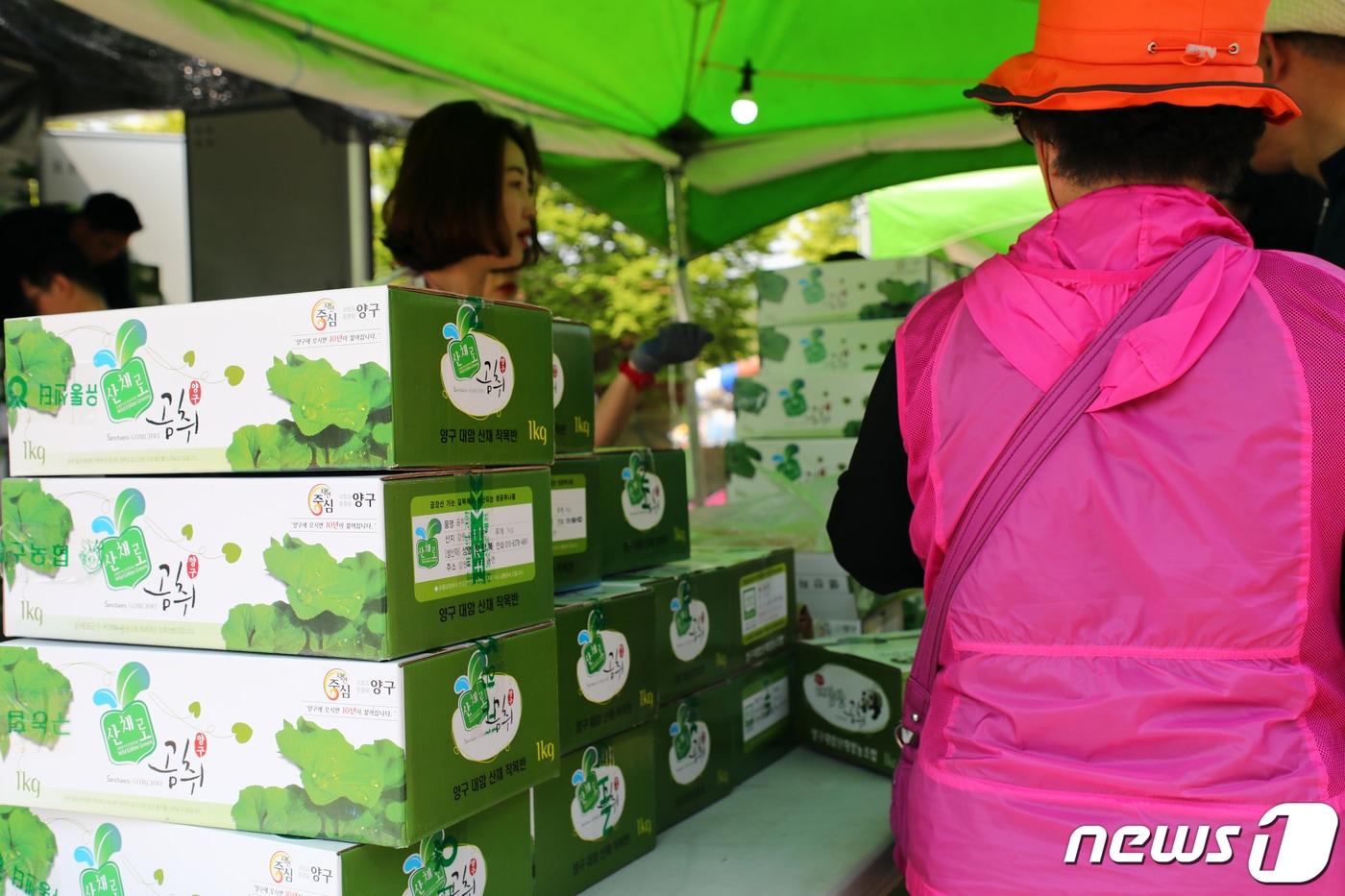 양구 곰취 축제장 자료사진./뉴스1