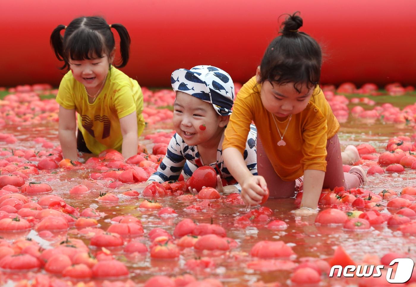 2019년 광주시 퇴촌면 공설운동장에서 열린 제17회 퇴촌 토마토 축제 때 모습. 2019.6.14/뉴스1 ⓒ News1 조태형 기자