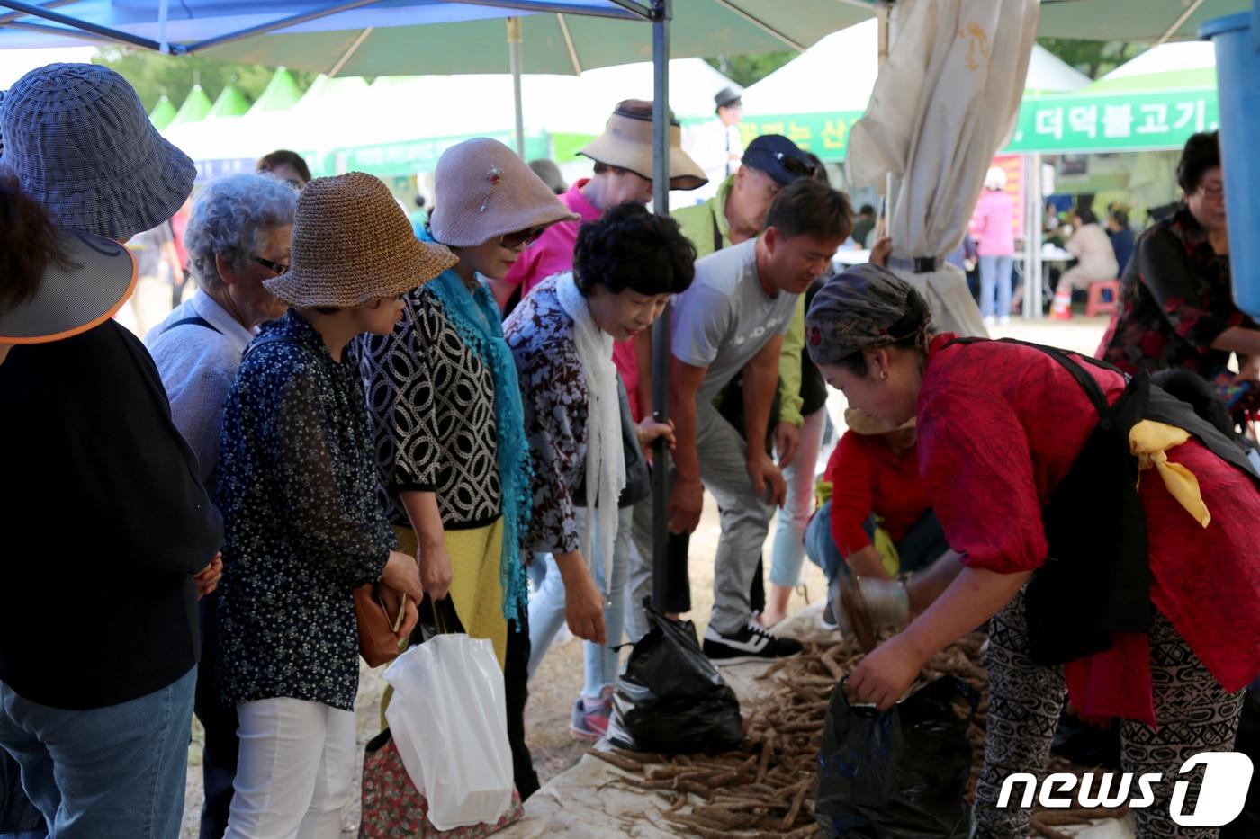 횡성더덕축제에서 판매되는 더덕.&#40;자료사진&#41;ⓒ News1 DB