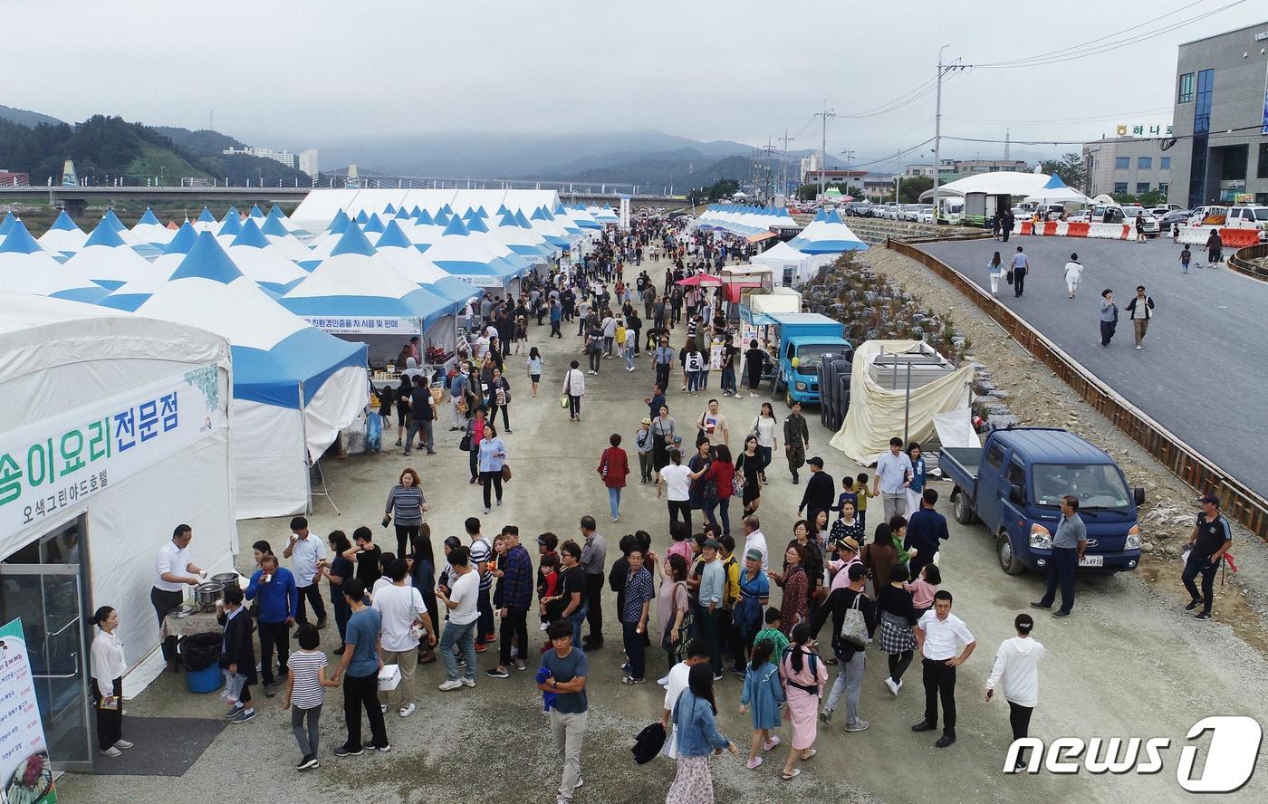 2019년 강원 양양군 남대천둔치 일원에서 열린 양양송이 축제장이 주민과 관광객으로 북적이고 있다. &#40;자료사진&#41;/뉴스1