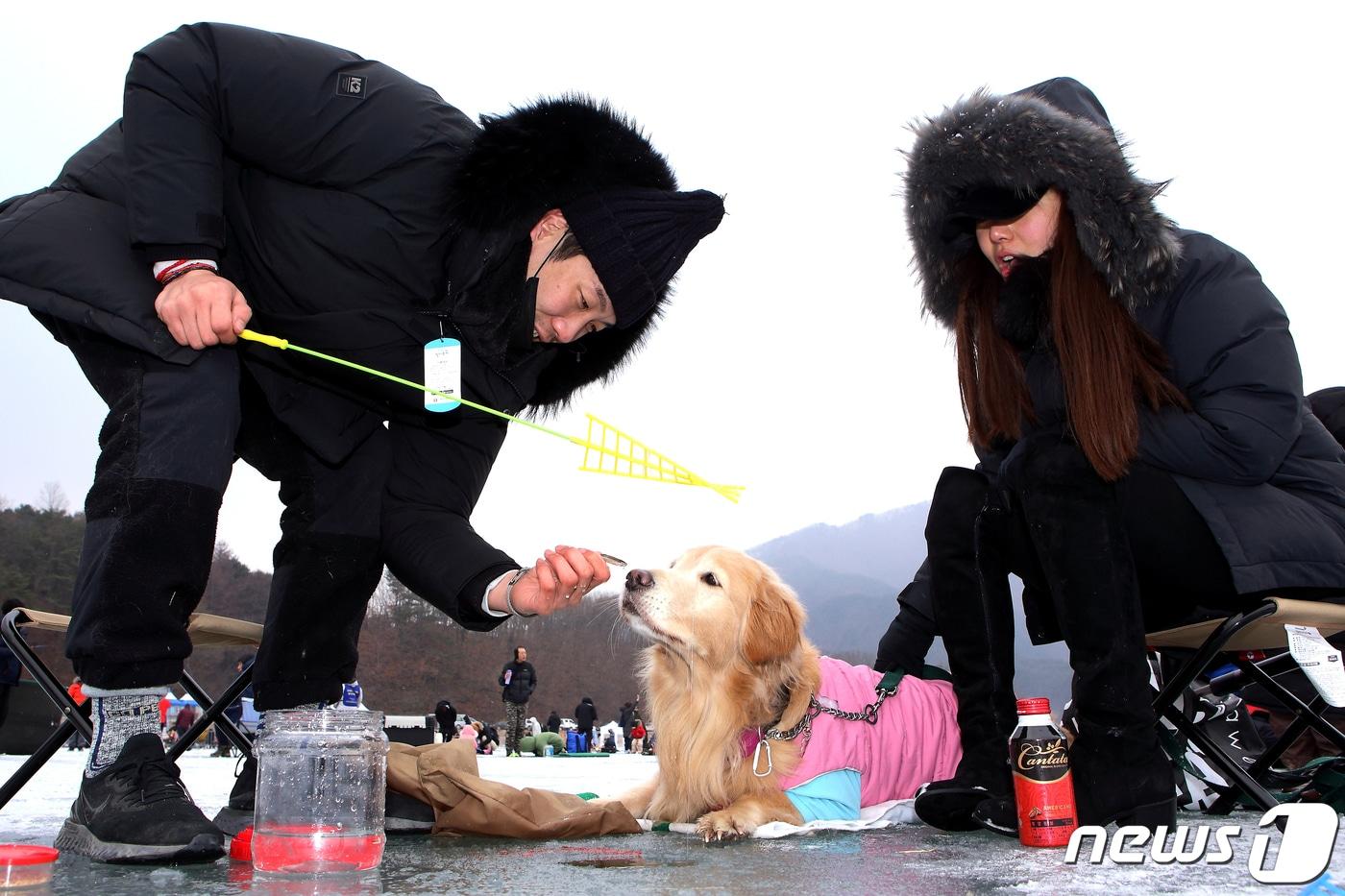 19일 강원 인제군 남면 빙어호 일원에서 열린 제20회 빙어축제에서 방문객들이 빙어낚시를 즐기고 있다. &#40;인제군 제공&#41; 2020.1.19/뉴스1 ⓒ News1 김경석 기자