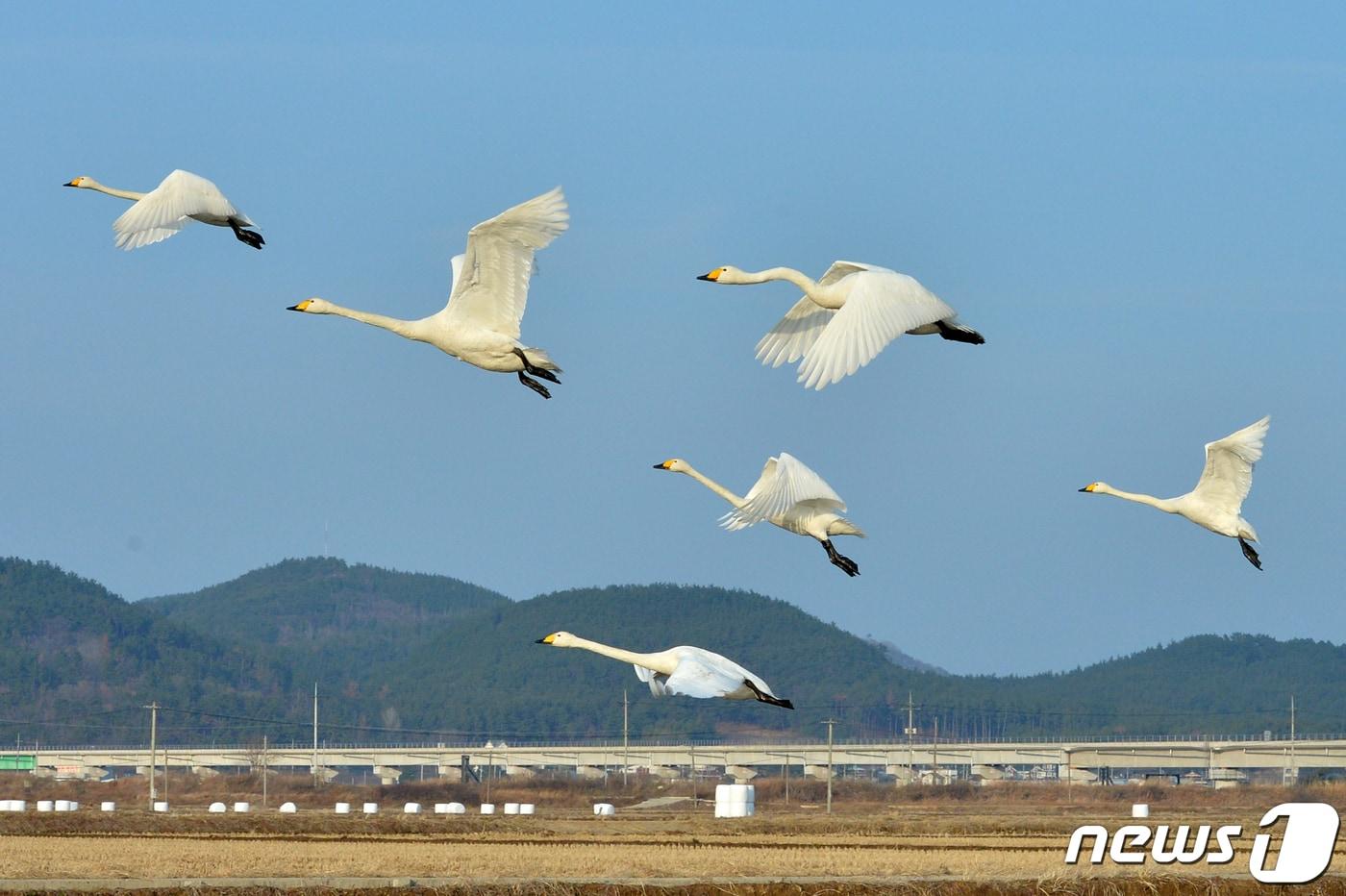 자료사진./뉴스1 ⓒ News1 최창호 기자