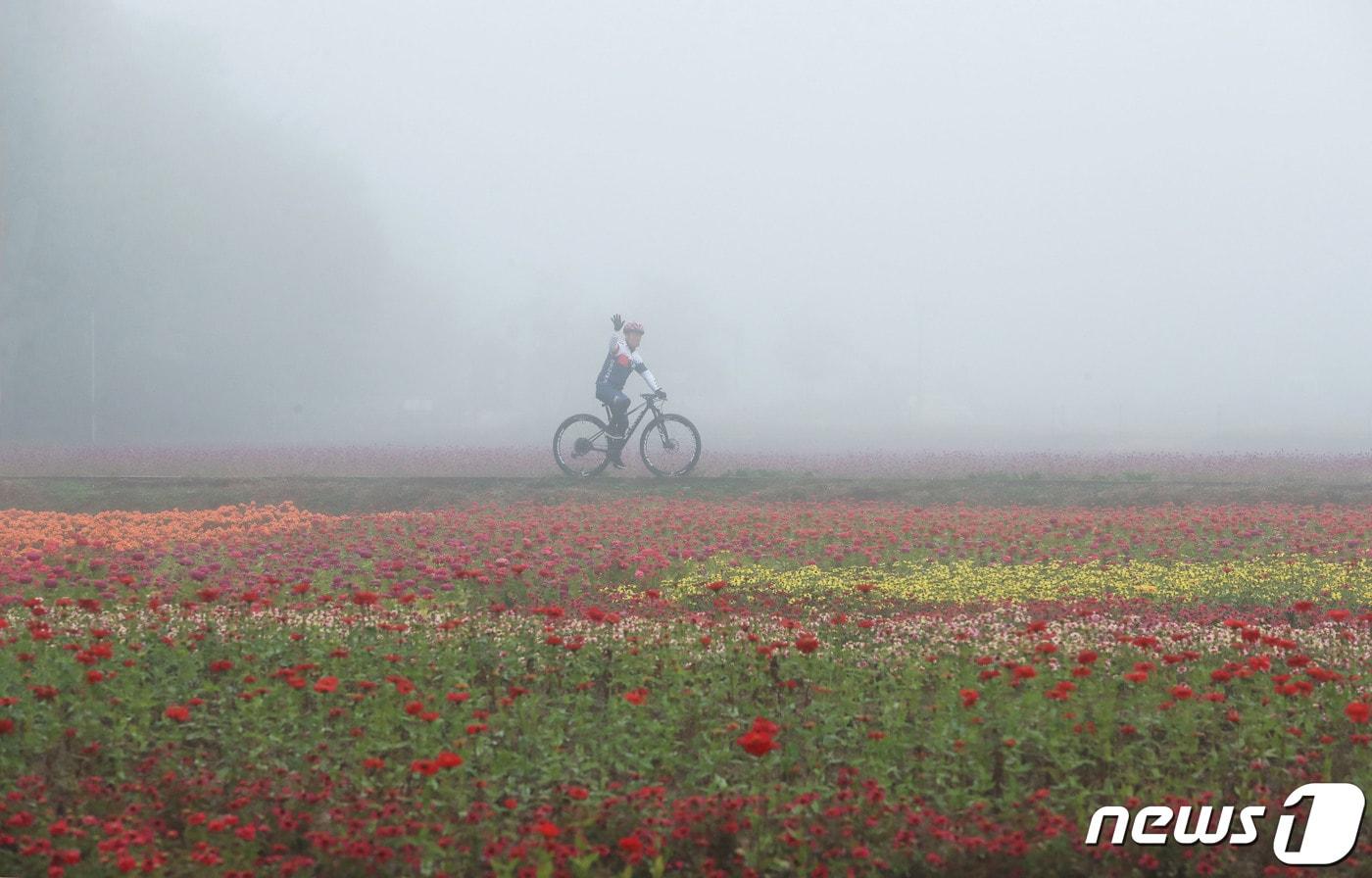 경남 함양군 상림공원 꽃밭에 안개가 자욱하게 깔려 있다. &#40;함양군 김용만 제공&#41; 2020.10.22/뉴스1