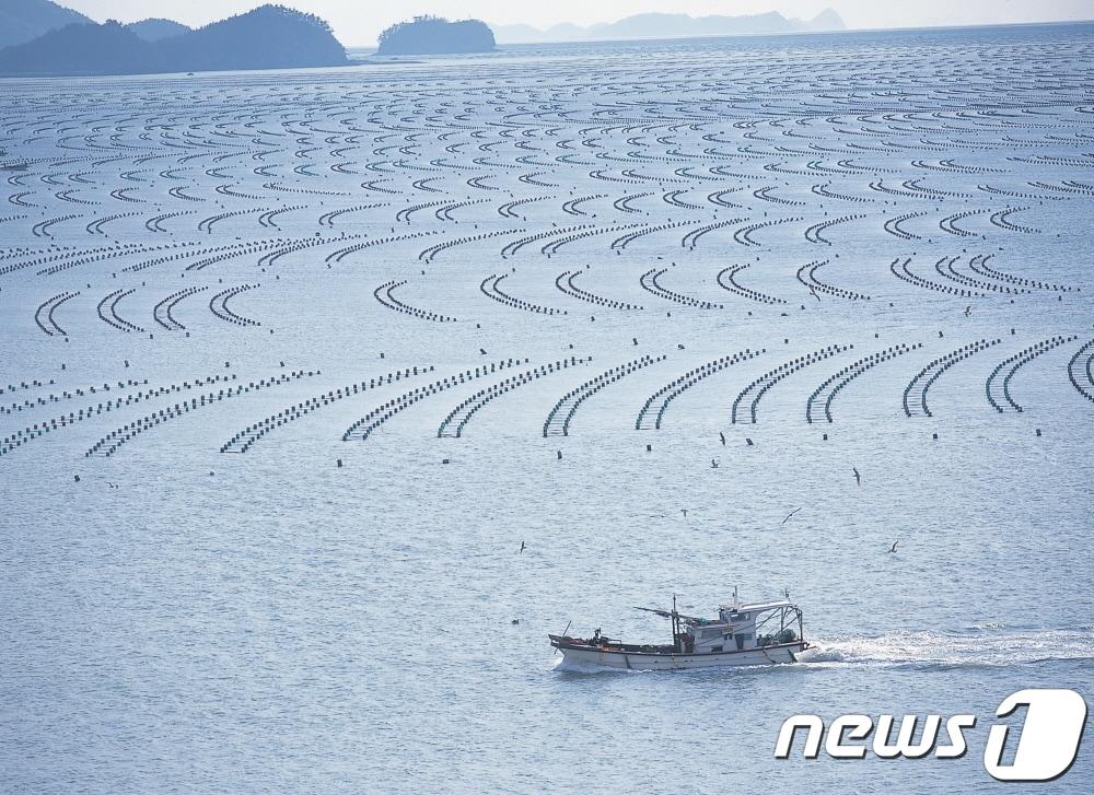 해남군 송지면 김양식장 전경&#40;해남군 제공&#41;/뉴스1 ⓒ News1 박진규 기자