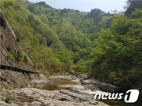 &#39;삼척 덕풍계곡과 산림철도&#39;ⓒ 뉴스1