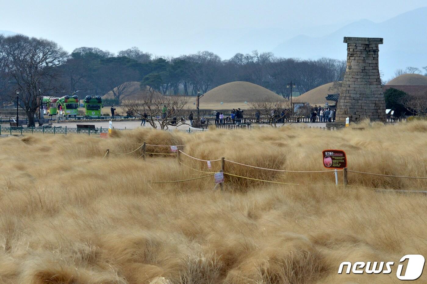 경북 경주시에 있는 국보 첨성대.  2020.2.2/뉴스1 ⓒ News1 최창호 기자