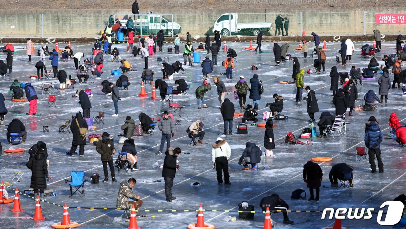 화천산천어축제장 자료사진.