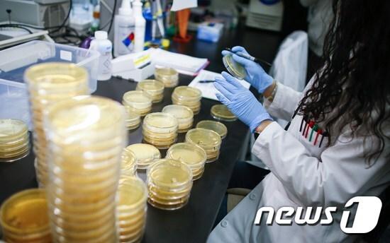 미국 연구소에서 한 연구원이 코로나19 검진 키르를 개발하고 있다. ⓒ AFP=뉴스1