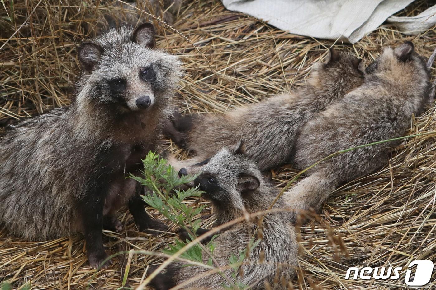 &#40;사진은 기사 내용과 무관함&#41; / 뉴스1 ⓒ News1