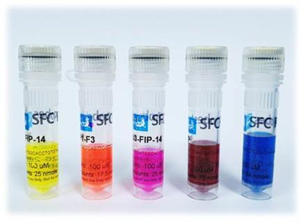 에스에프씨가 개발한 PCR용 핵심소재 제품 사진. &#40;KEIT 제공&#41; ⓒ 뉴스1
