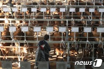 &#40;사진은 기사 내용과 무관함&#41; / 뉴스1 ⓒ News1